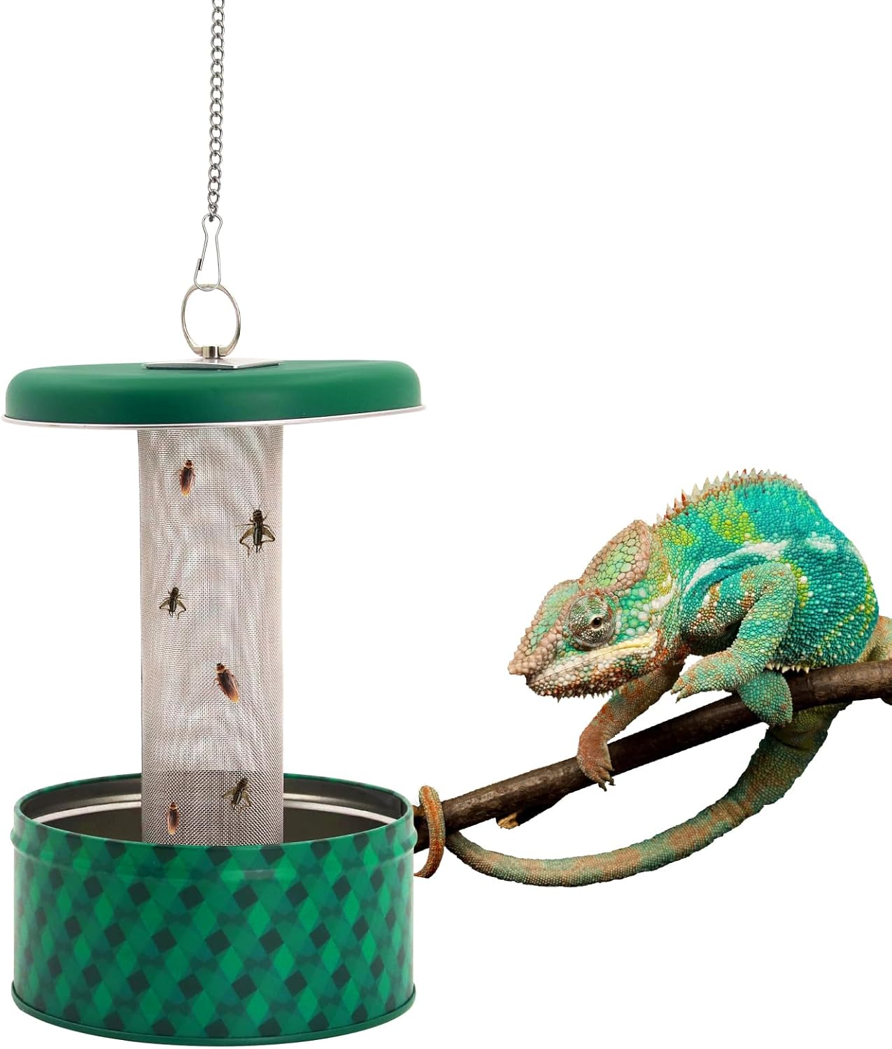 Water Dish Reptile - Podajnik dla agamy brodatej, miska na