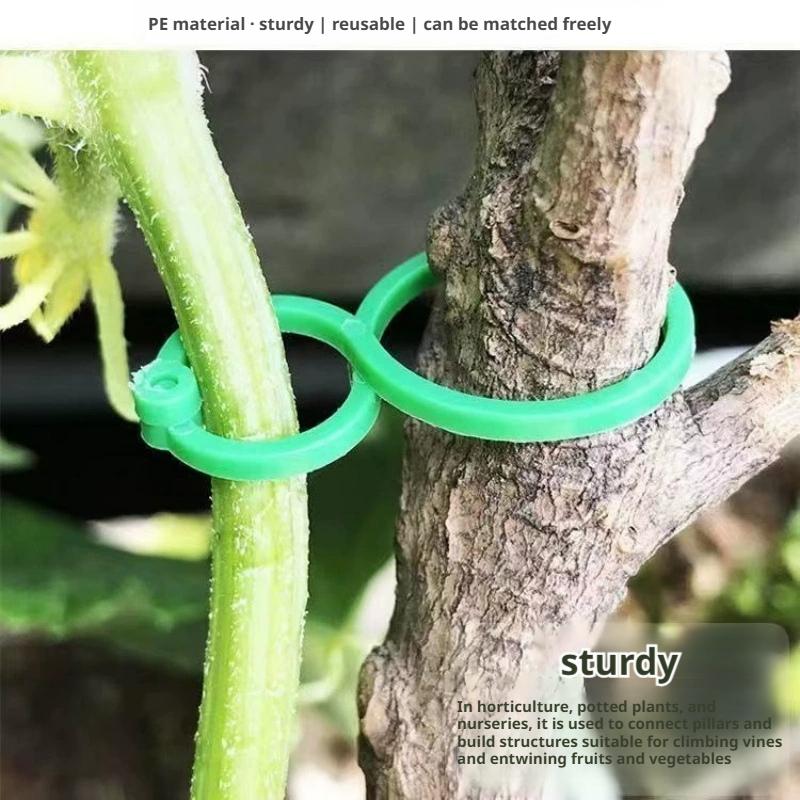 100 szt. Klipsów do podtrzymyw – Vine Climbing Plastic recenzja i cena